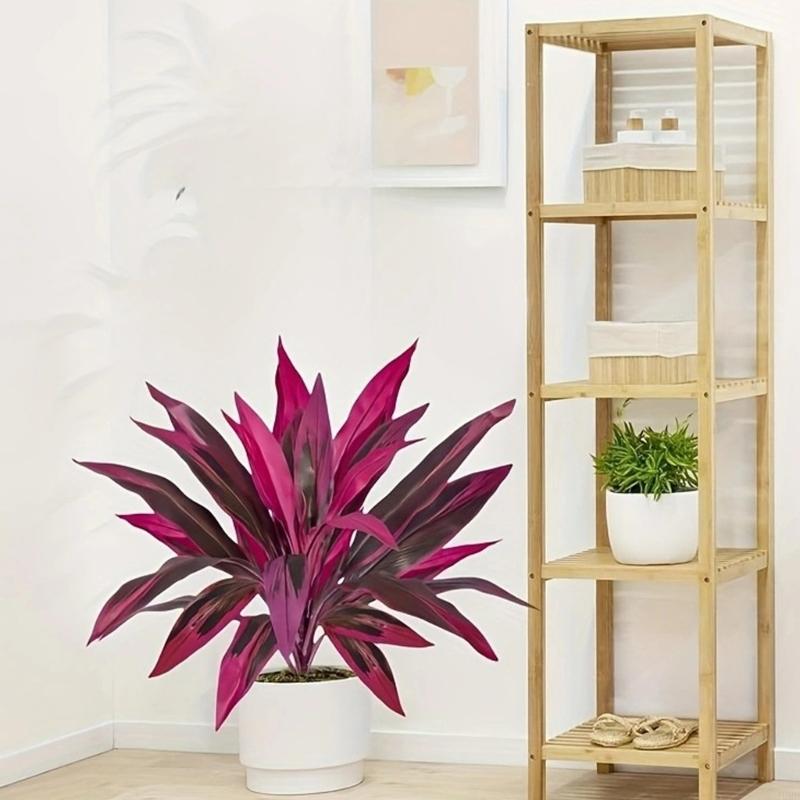 Dracaena Marginata - Cây Dracaena Marginata nhân tạo cao