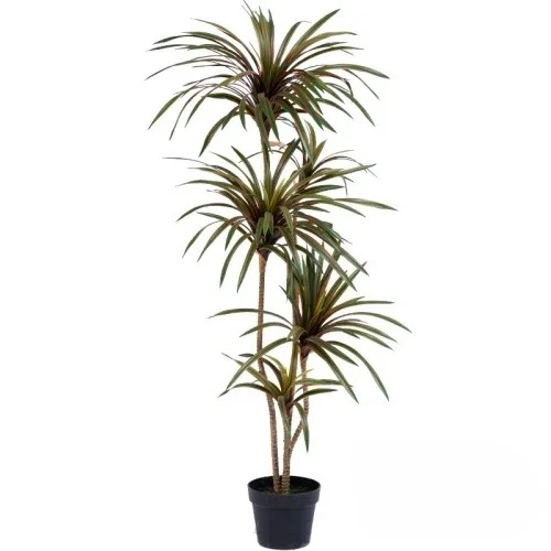 Dracaena Marginata - Simulation Colorful Ponytail Iron Dracaena Marginata