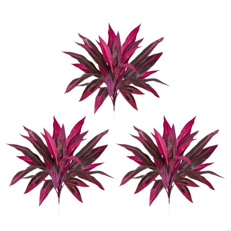 Cây Dracaena Marginata nhân tạ - đánh giá và giá Dracaena Marginata