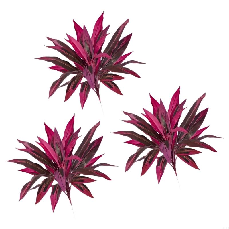 Cây Dracaena Marginata nhân tạ - đánh giá và giá Dracaena Marginata