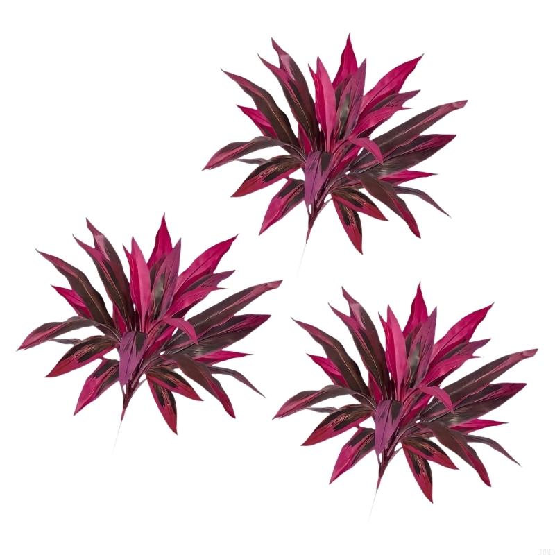 Cây Dracaena Marginata nhân tạ - đánh giá và giá Dracaena Marginata