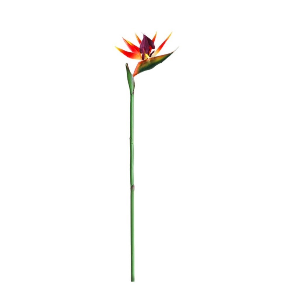 New Long Stem Artificial Bird  - đánh giá và giá Bird Paradise Strelitzia