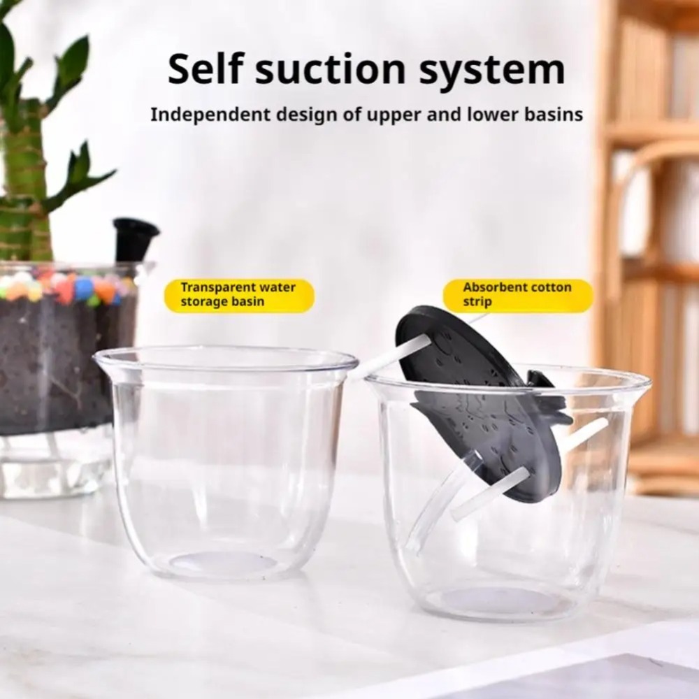 2Pcs Self-Watering Pot, Pots f - đánh giá và giá Aloe Vera Pot