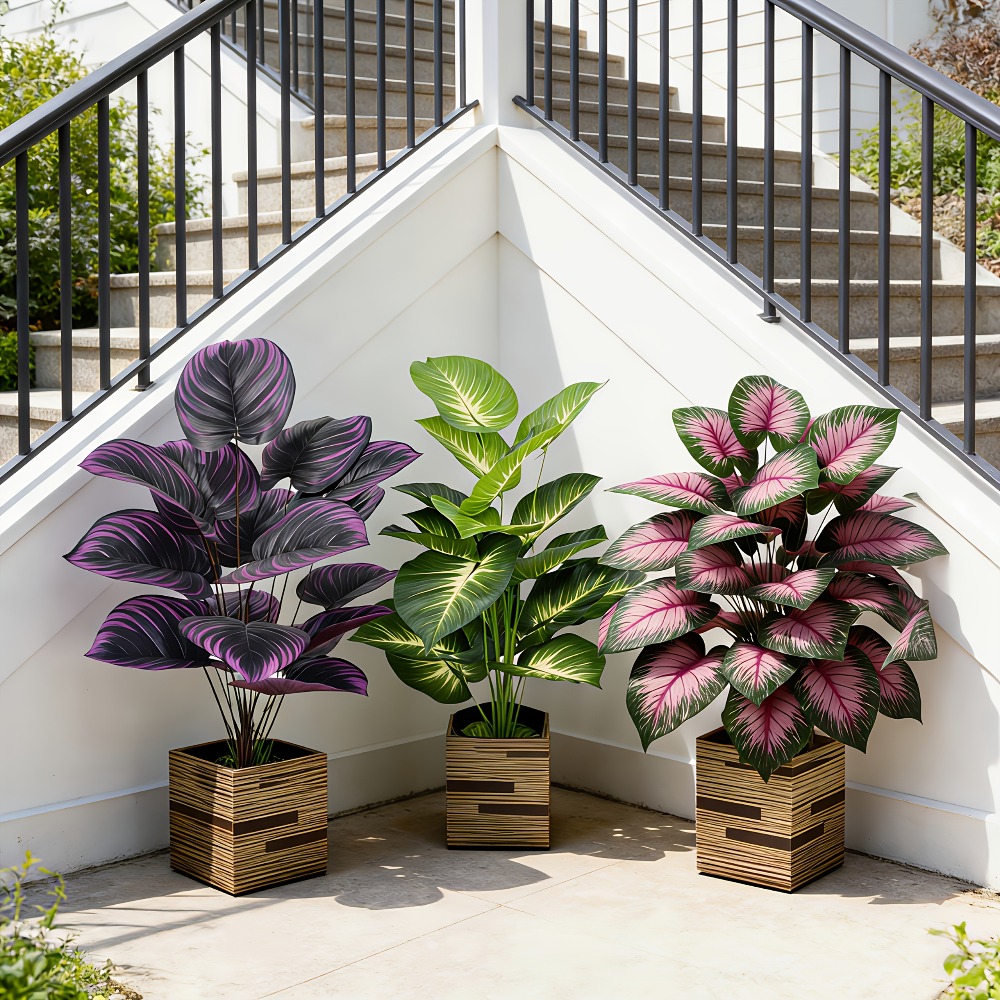 3pc Featuring Various Large-Le - đánh giá và giá Ficus Lyrata Tree