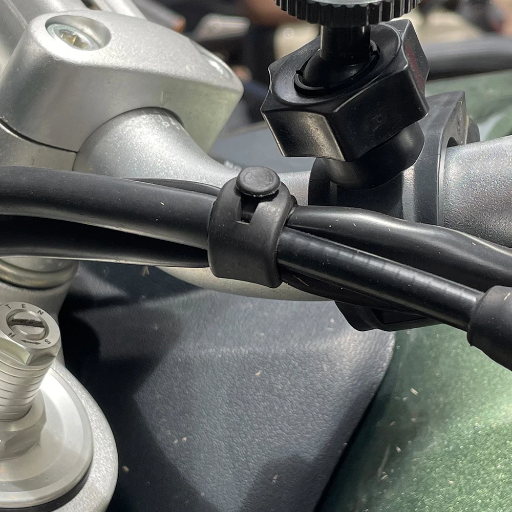 For Ducati Monster Multistrada - đánh giá và giá Monstera Adansonii