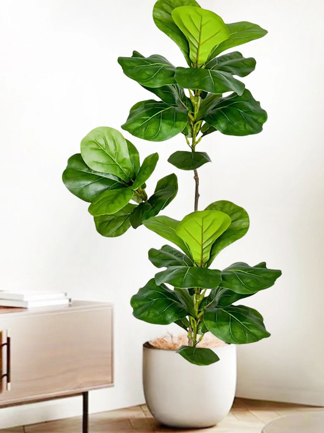 45-135cm  Artificial Fiddle Le - đánh giá và giá Ficus Lyrata Tree