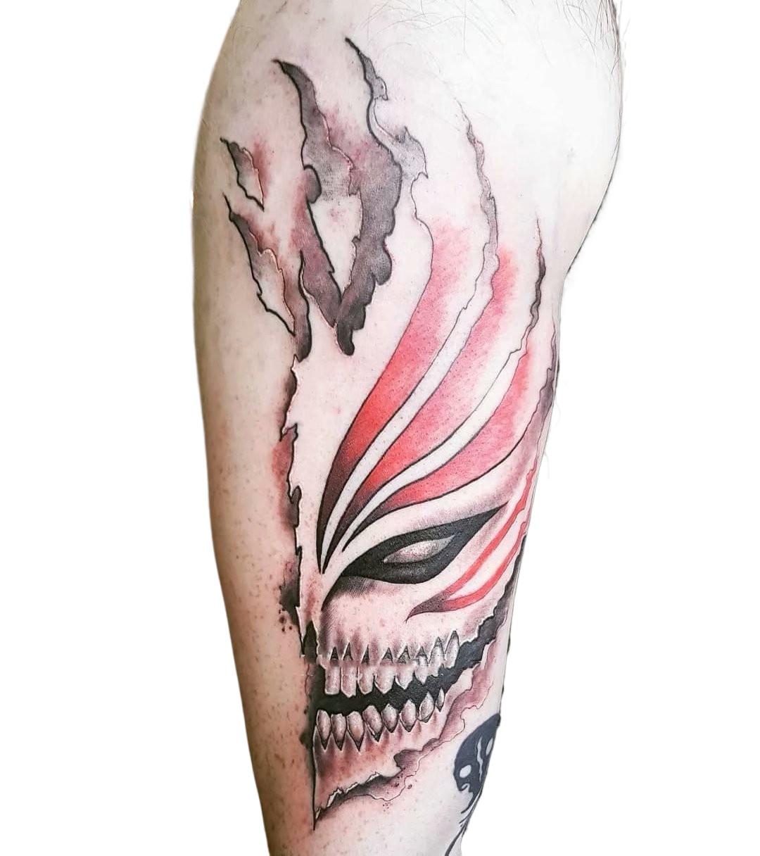Anime BLEACH Temporary Tattoos - đánh giá và giá Aglaonema Red