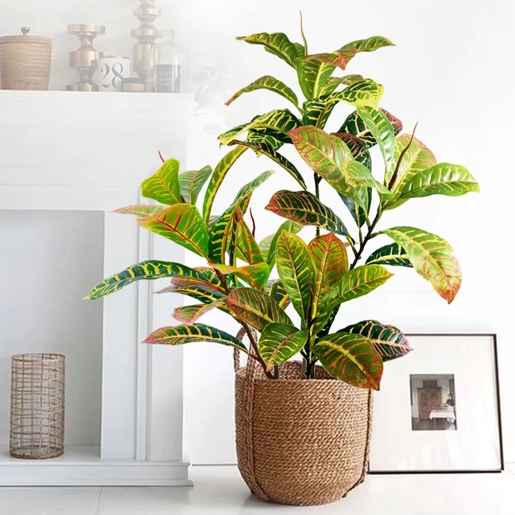 21-120cm Artificial Plant Fake - đánh giá và giá Dracaena Marginata