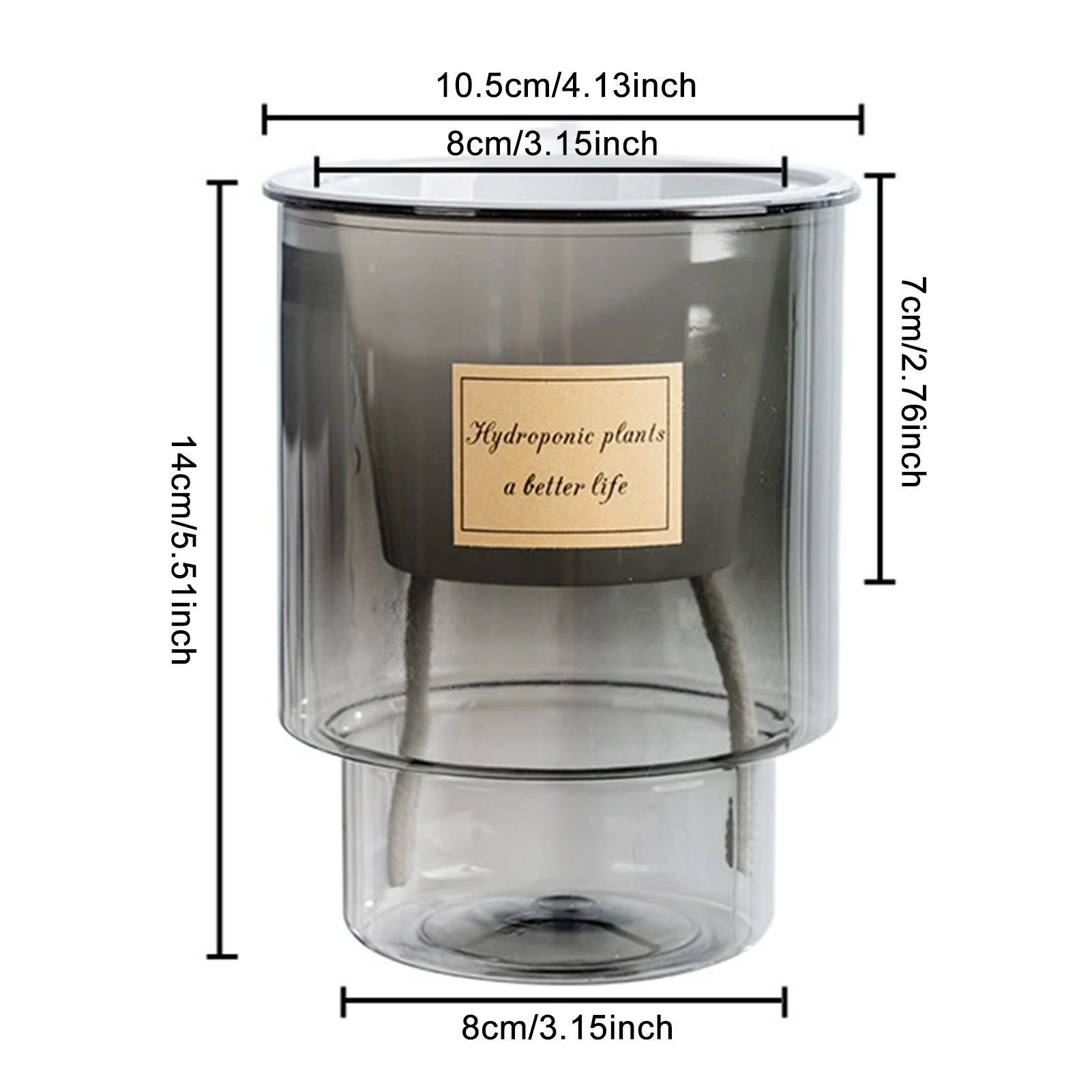 Automatic Water-Absorbing Flow - đánh giá và giá Aloe Vera Pot