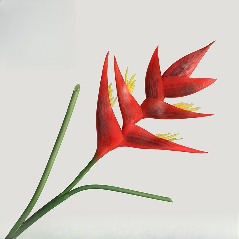 1PCS 85cm Artificial Strelitzi - đánh giá và giá Bird Paradise Strelitzia