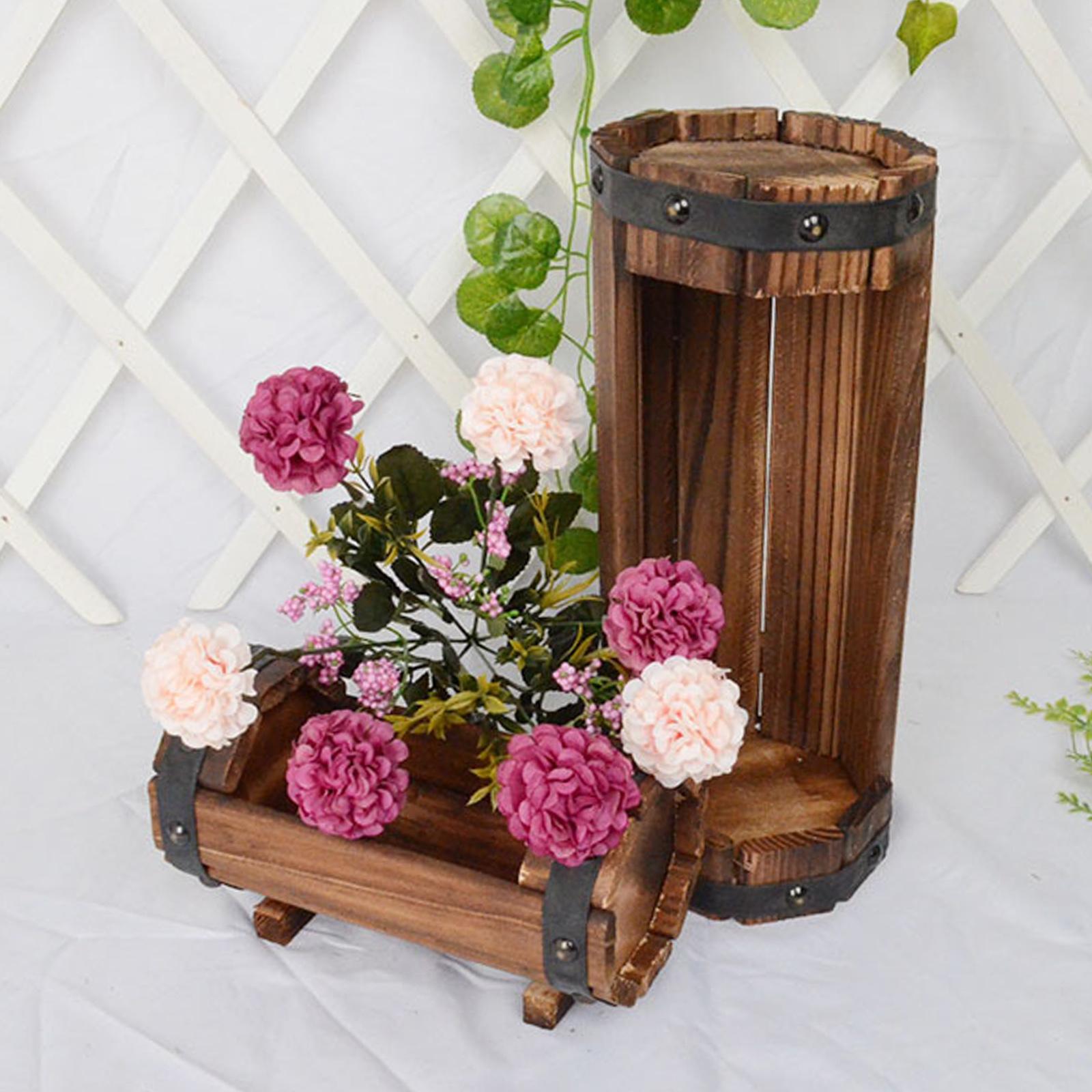 Antique Decorative Flower Pot  - đánh giá và giá Echeveria Succulent