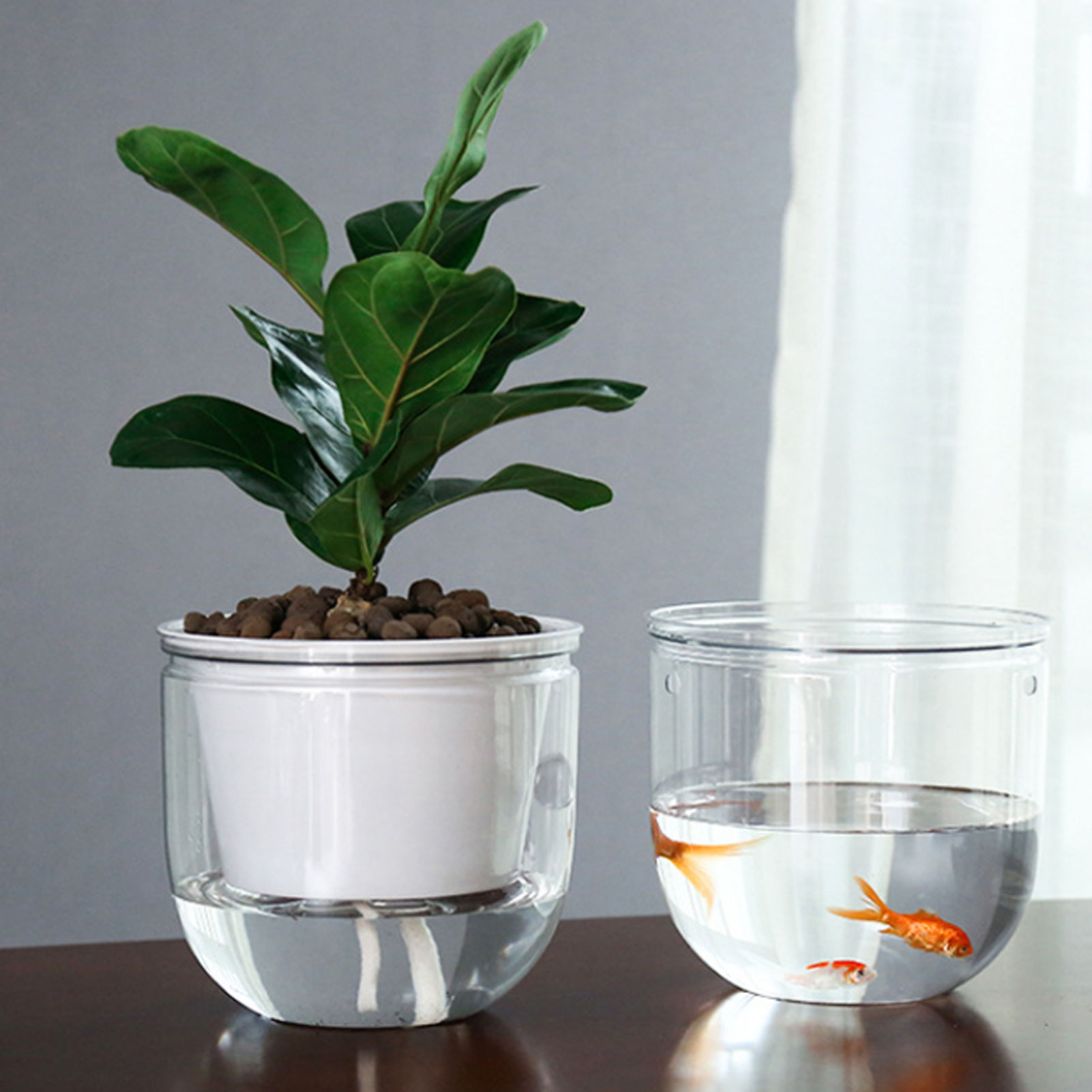 Automatic Self Watering Plant  - đánh giá và giá Spider Plant Hanging