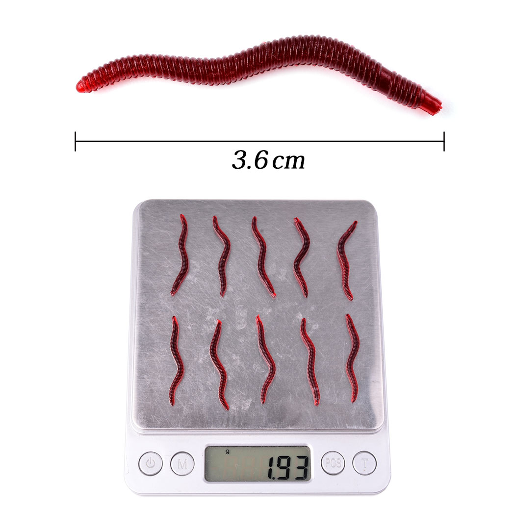 Bộ 50 Sống Động Như Thật Giun  - đánh giá và giá Aglaonema Red