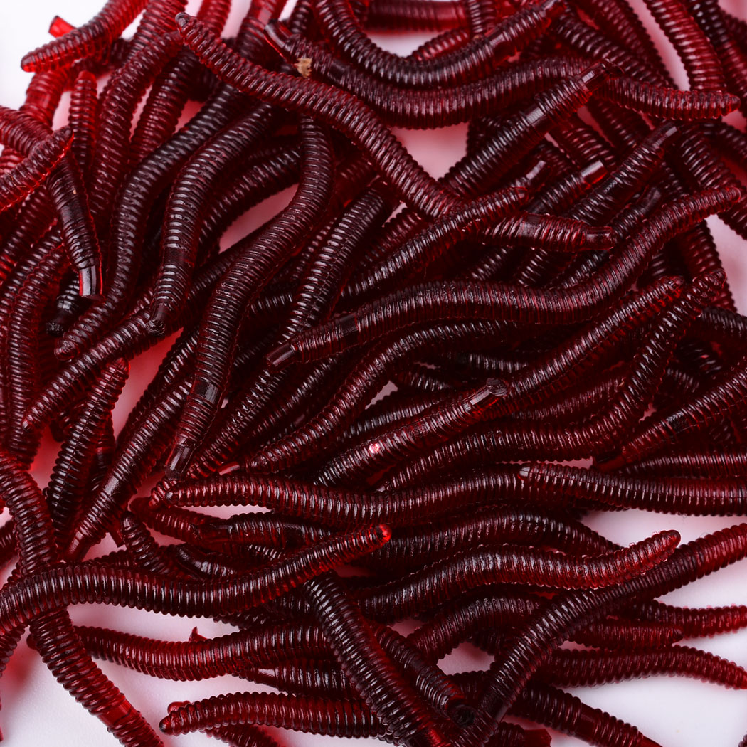 Bộ 50 Sống Động Như Thật Giun  - đánh giá và giá Aglaonema Red