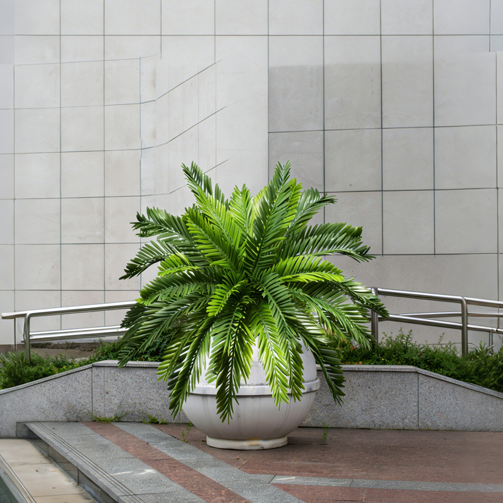 45cm Artificial Palm Plants Fa - đánh giá và giá Dracaena Marginata
