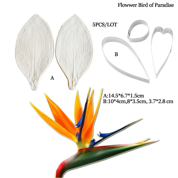 Lớn Gumpaste Strelitzia Chim T - đánh giá và giá Bird Paradise Strelitzia