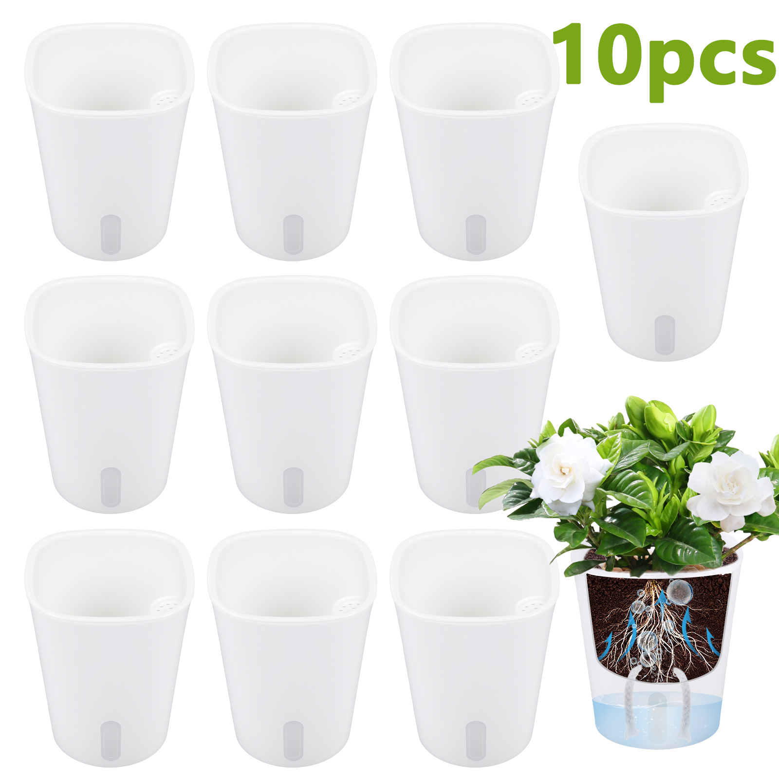 10Pcs Self Watering Plastic Fl - đánh giá và giá Aloe Vera Pot
