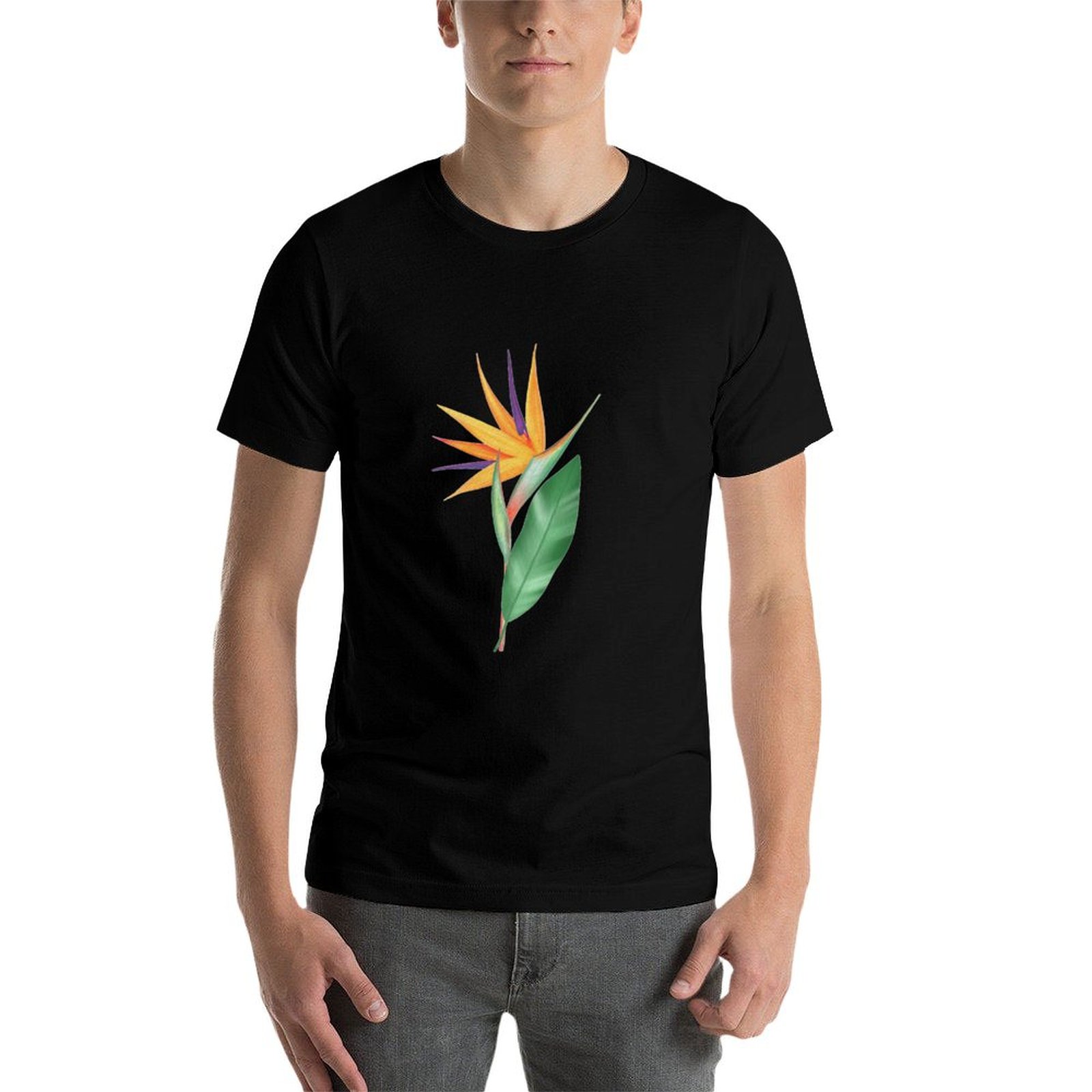 Watercolor bird of paradise fl - đánh giá và giá Bird Paradise Strelitzia