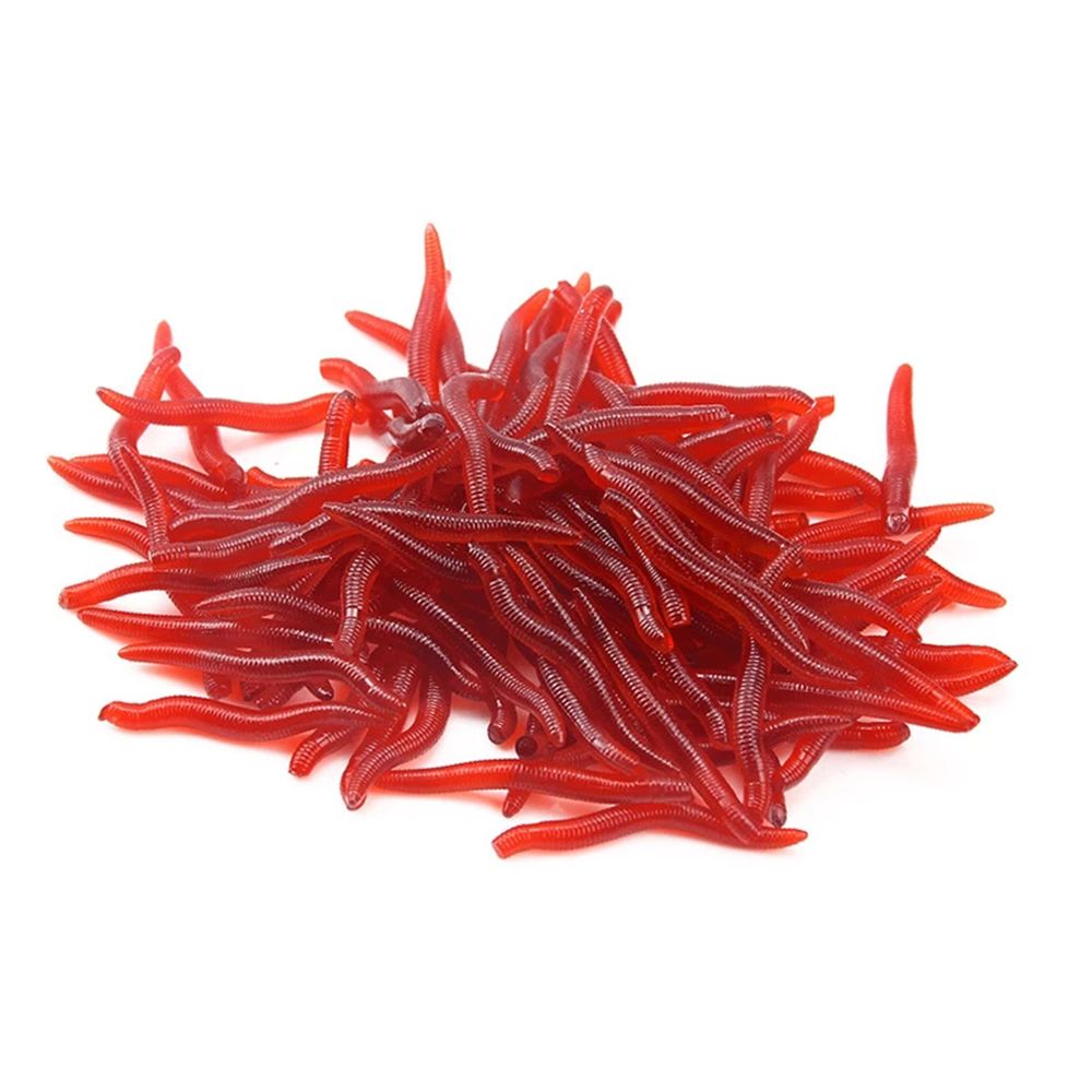 100pcs/Bottle Realistic Tackle - đánh giá và giá Aglaonema Red