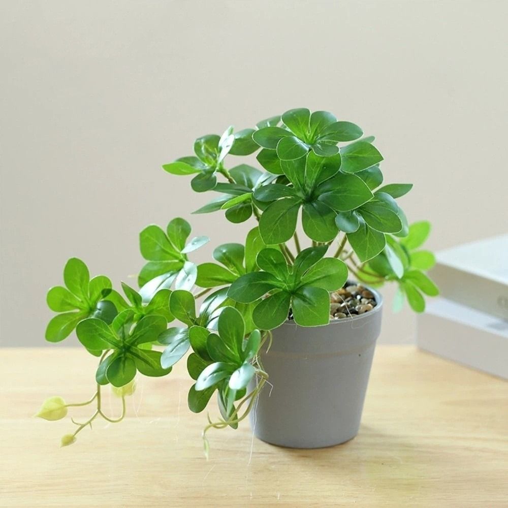 Bonsai Artificial Bonsai Plant - đánh giá và giá Spider Plant Hanging