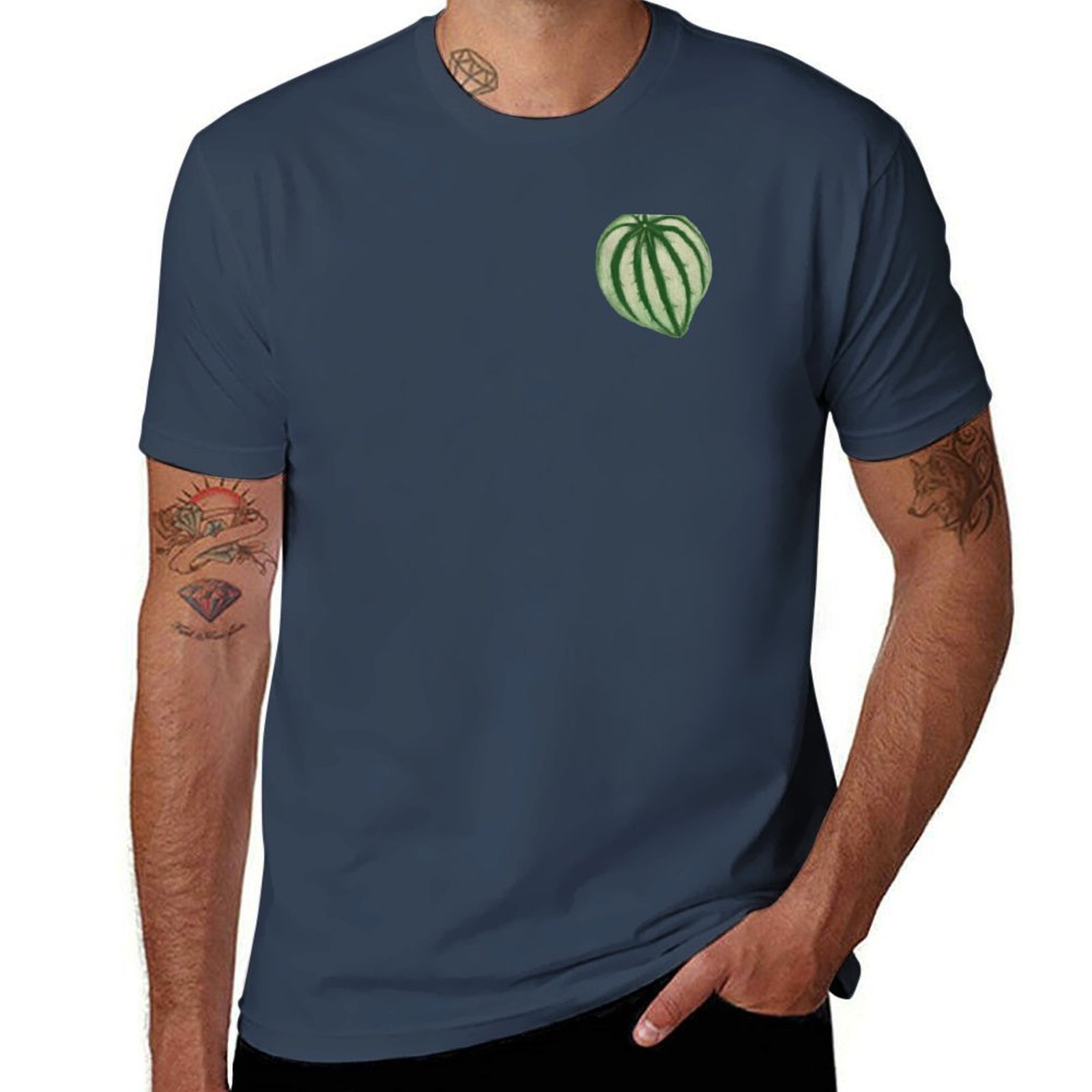 Peperomia Watermelon T-Shirt M - đánh giá và giá Peperomia Watermelon