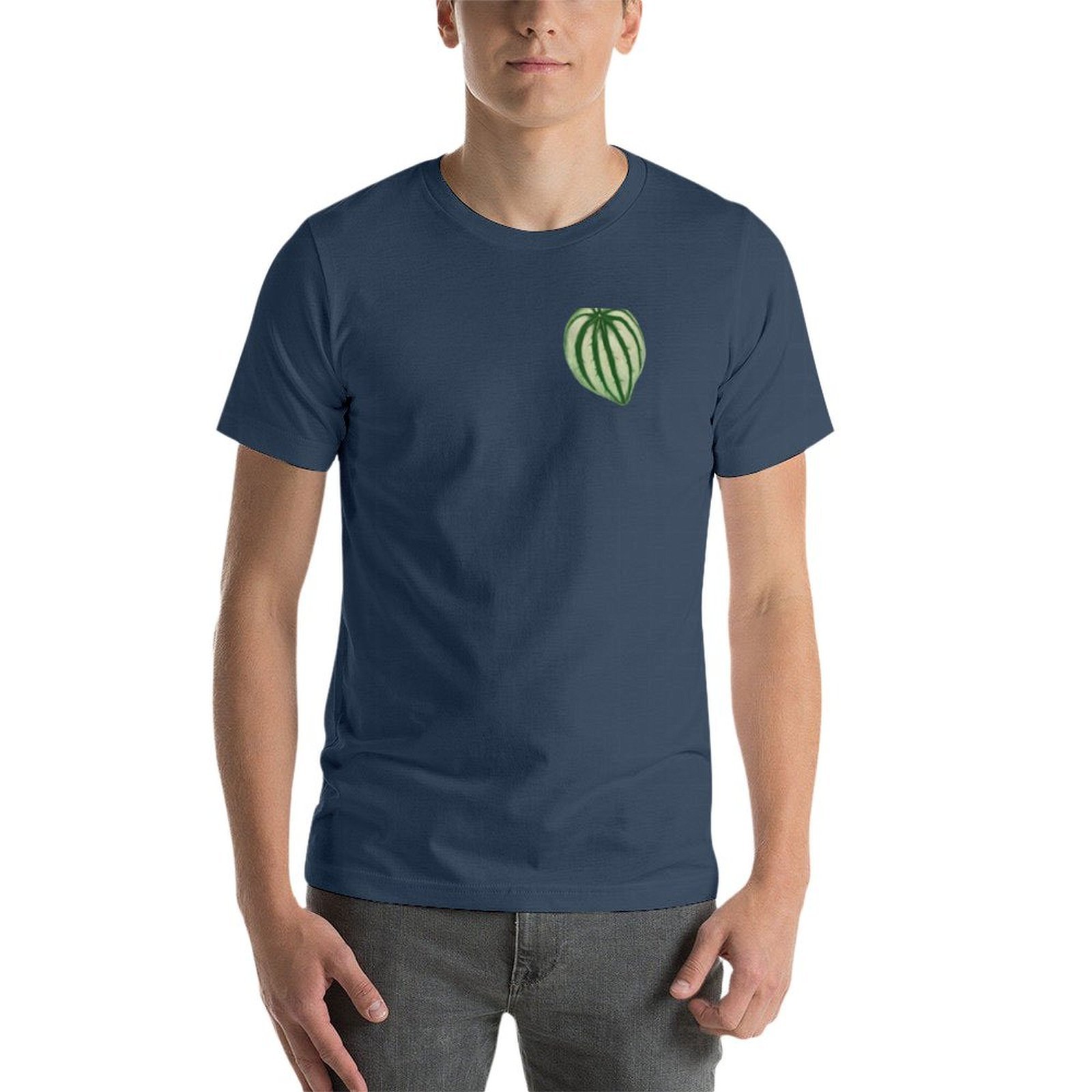 Peperomia Watermelon T-Shirt M - đánh giá và giá Peperomia Watermelon