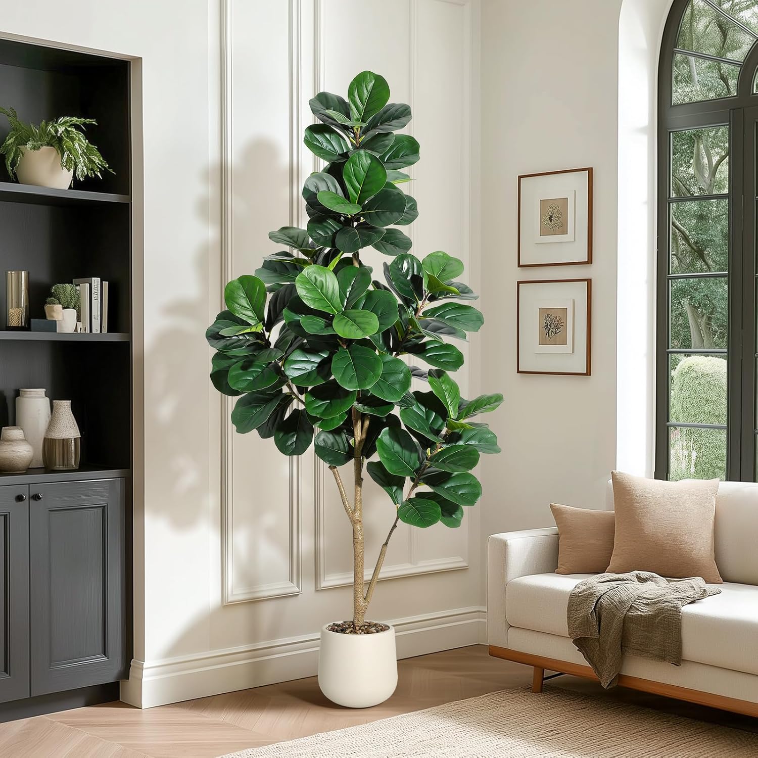 4-7 FT Fiddle Leaf Fig Tree Ar - đánh giá và giá Ficus Lyrata Tree