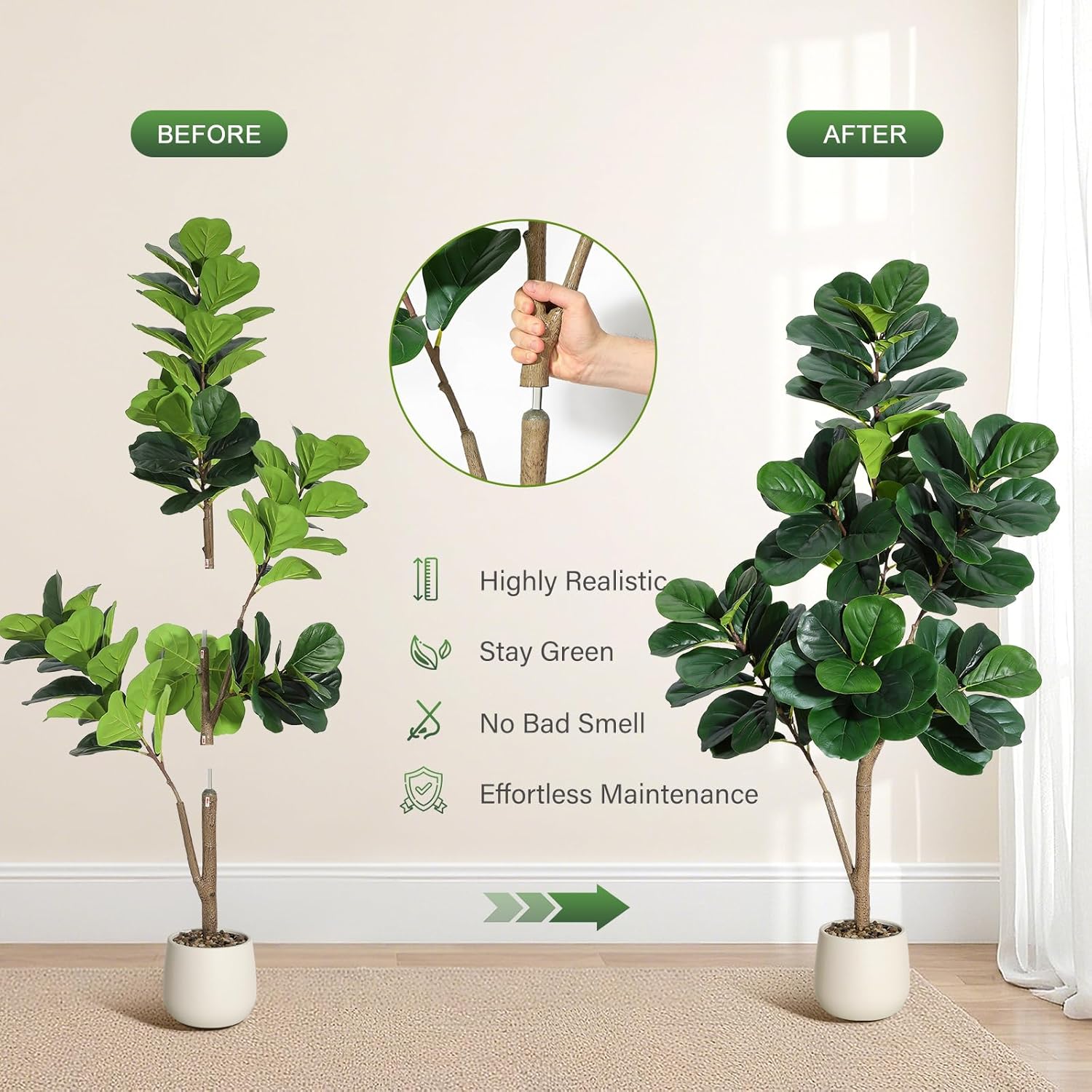 4-7 FT Fiddle Leaf Fig Tree Ar - đánh giá và giá Ficus Lyrata Tree