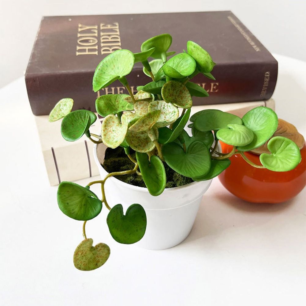 Soft Glue Artificial Plant EVA - đánh giá và giá Echeveria Succulent