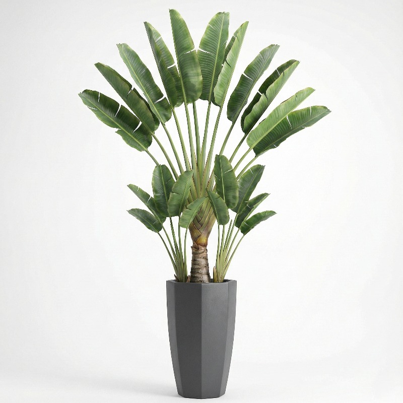 High-Simulation Plastic Fiddle - đánh giá và giá Ficus Lyrata Tree