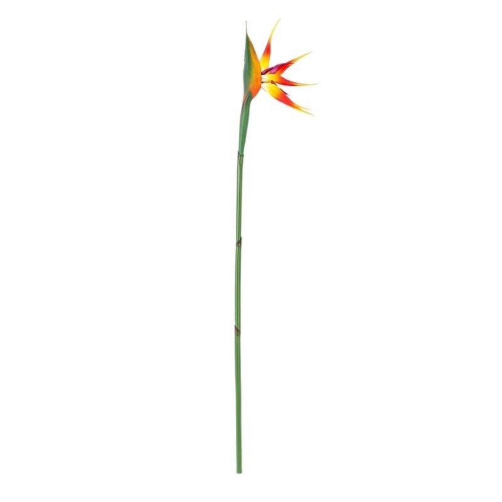 Long Stem Artificial Bird of P - đánh giá và giá Bird Paradise Strelitzia