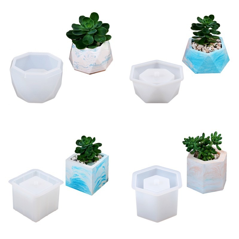 Succulent Flowerpot Silicone M - đánh giá và giá Echeveria Succulent