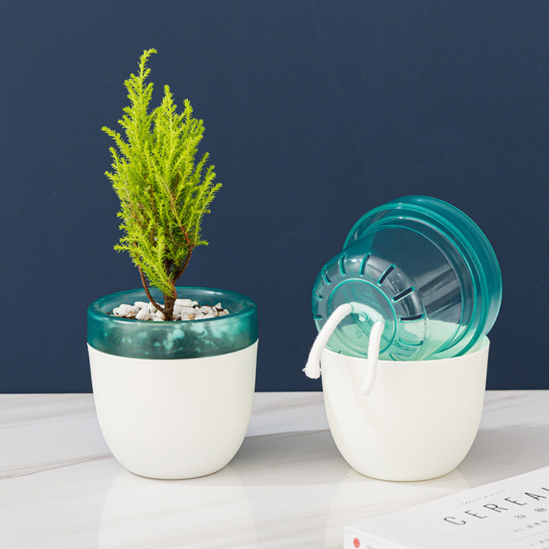 Automatic Water Absorption Laz - đánh giá và giá Aloe Vera Pot