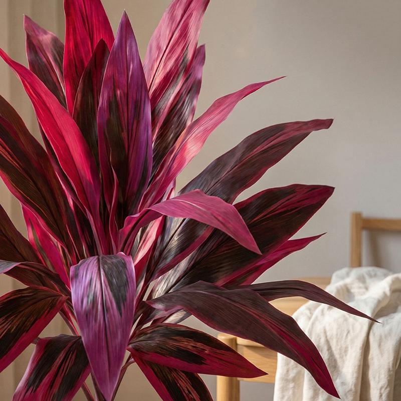 Large Artificial Dracaena Marg - đánh giá và giá Dracaena Marginata