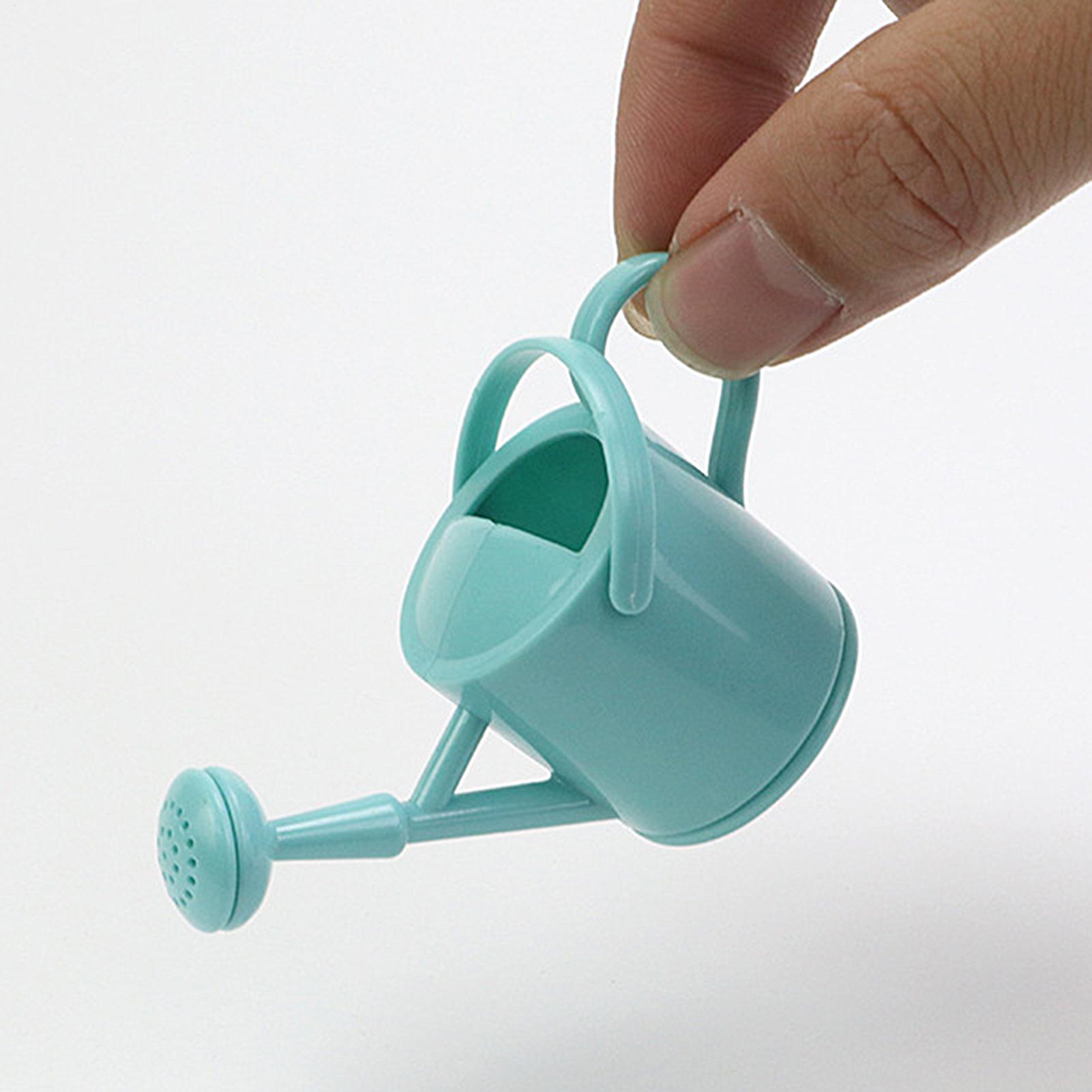 Small Kids Watering Can Flexib - đánh giá và giá Echeveria Succulent