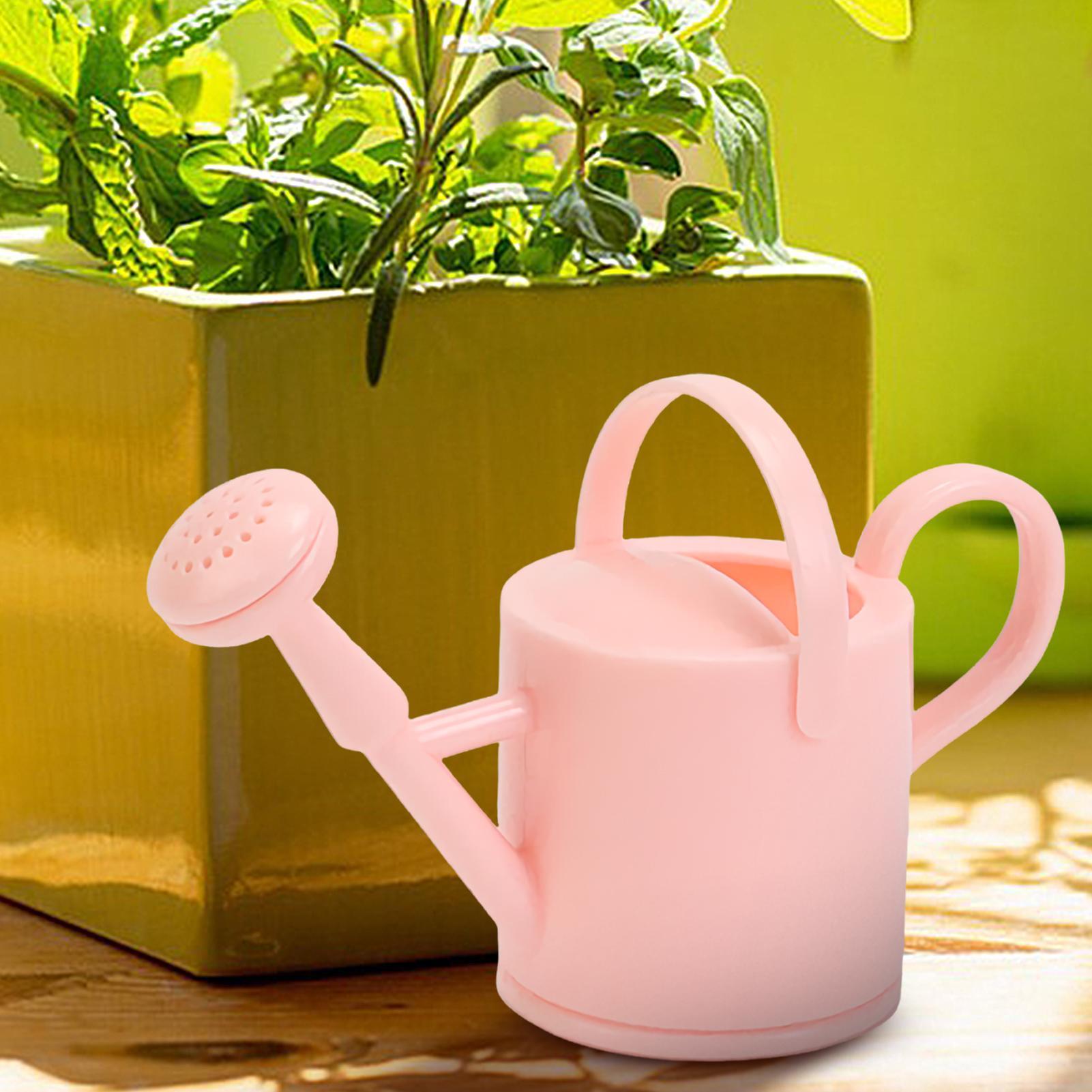 Small Kids Watering Can Flexib - đánh giá và giá Echeveria Succulent