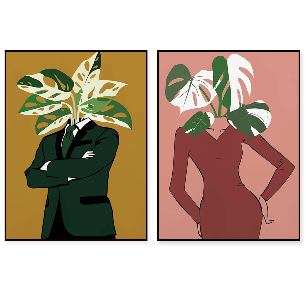 Monstera Albo in a burgundy dr - đánh giá và giá Monstera Adansonii