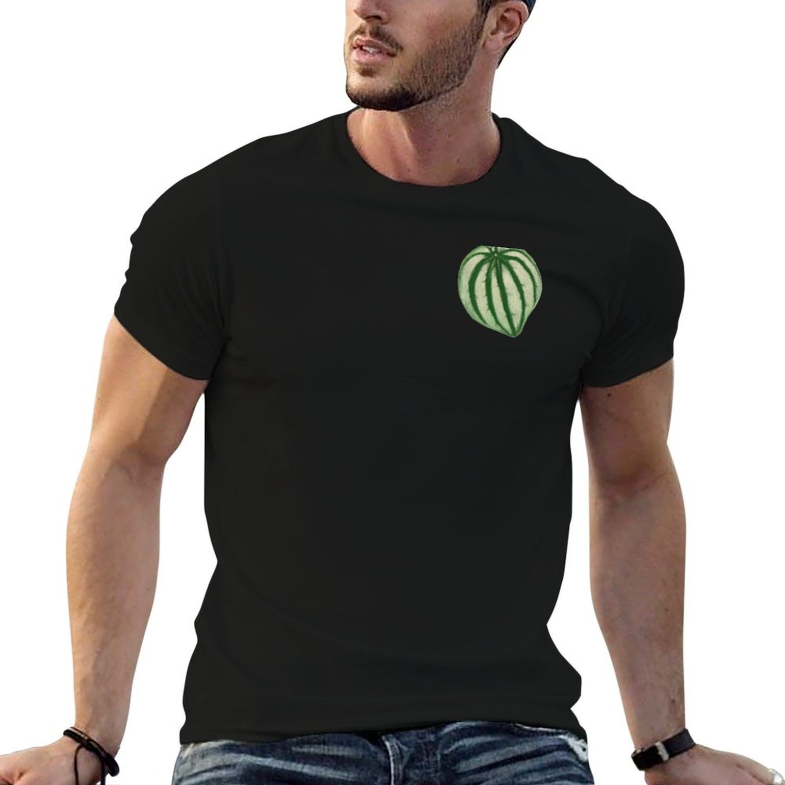 Watermelon Peperomia T-Shirt D - đánh giá và giá Peperomia Watermelon