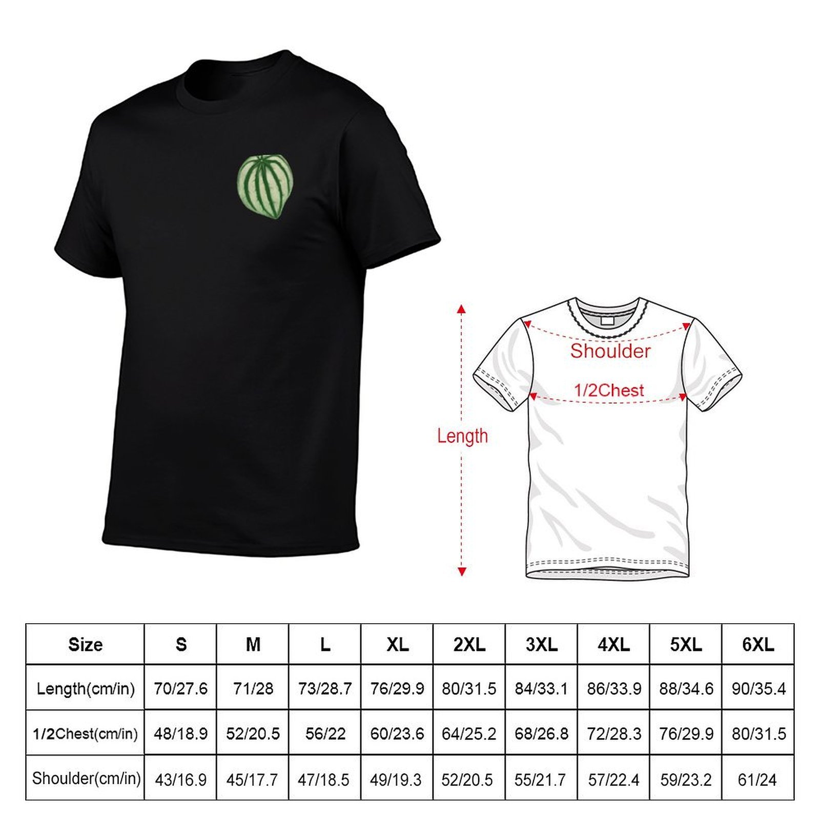 Watermelon Peperomia T-Shirt D - đánh giá và giá Peperomia Watermelon