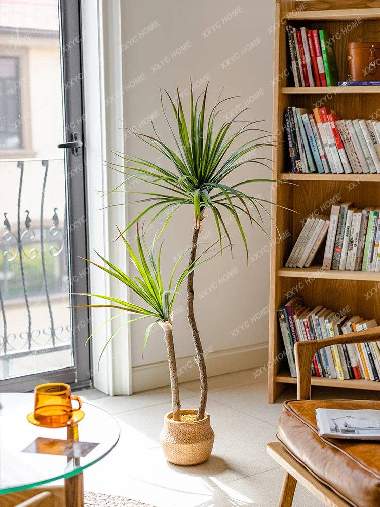 Light Luxury Simulation Green  - đánh giá và giá Dracaena Marginata