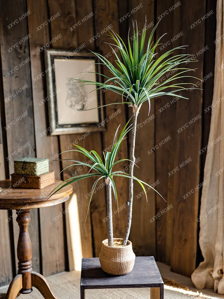 Light Luxury Simulation Green  - đánh giá và giá Dracaena Marginata