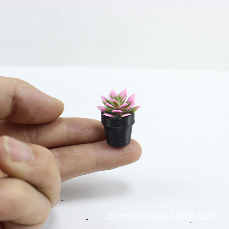 Mini Simulated Plants Cactus S - đánh giá và giá Echeveria Succulent