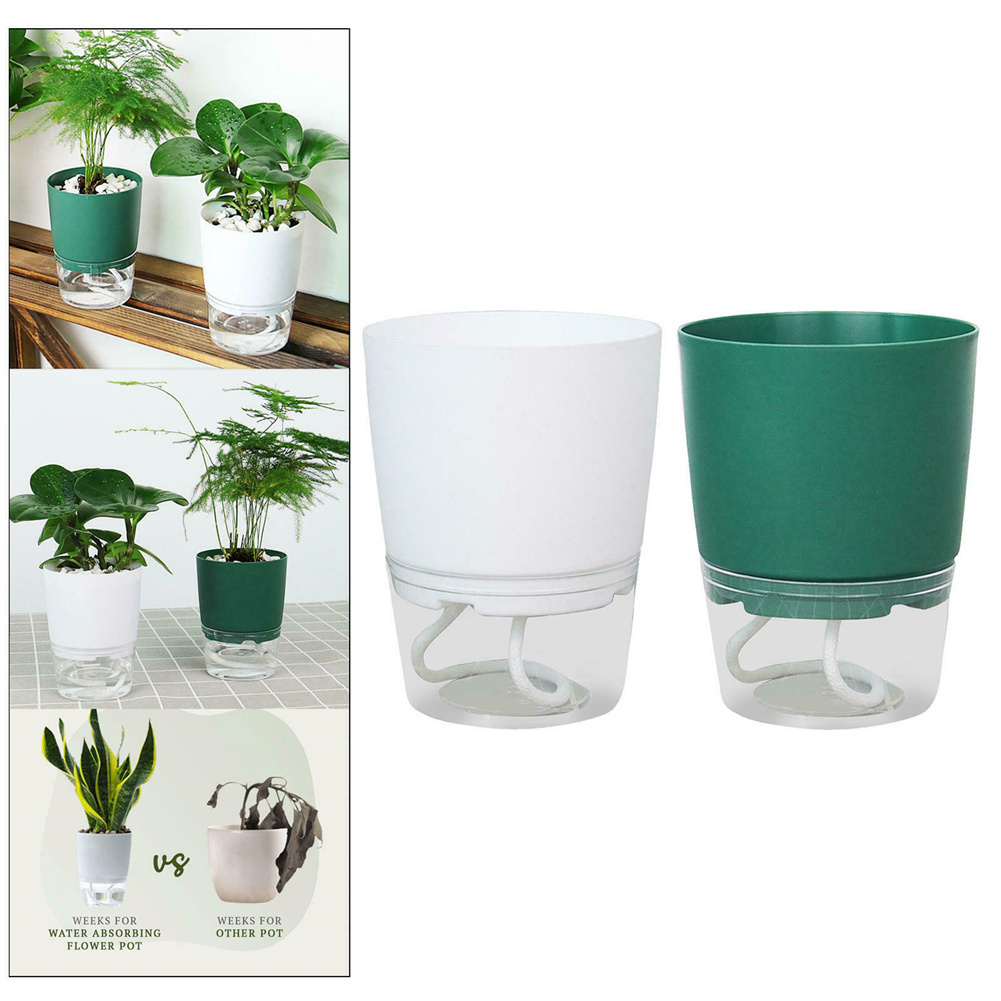 Lazy Hydroponic Flower Pot Aut - đánh giá và giá Aloe Vera Pot