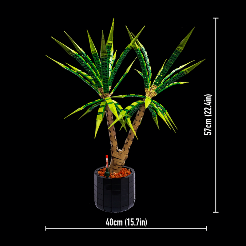 1961pcs MOC Dracaena Marginata - đánh giá và giá Dracaena Marginata
