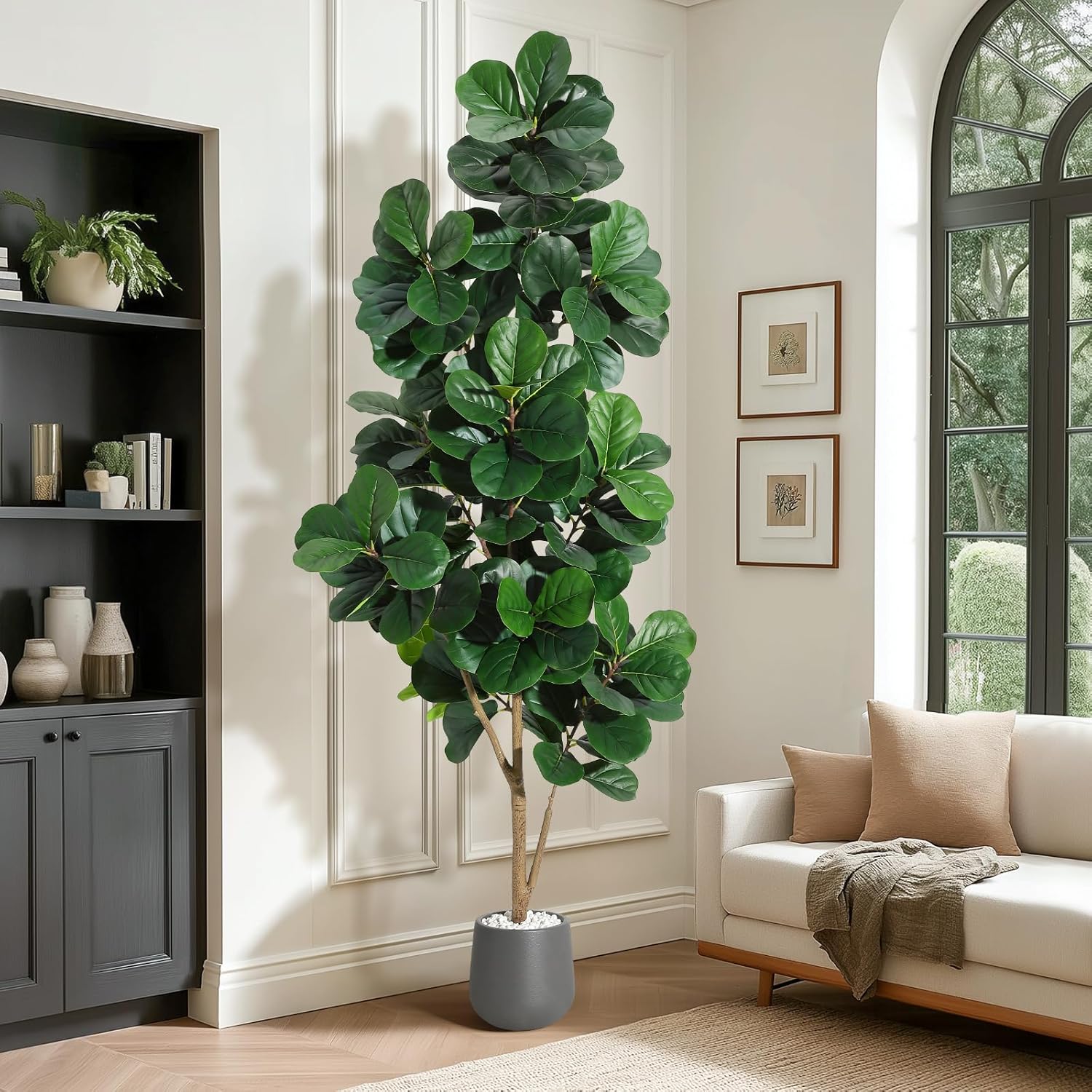 4FT/5FT/6FT/7FT Fiddle Leaf Fi - đánh giá và giá Ficus Lyrata Tree