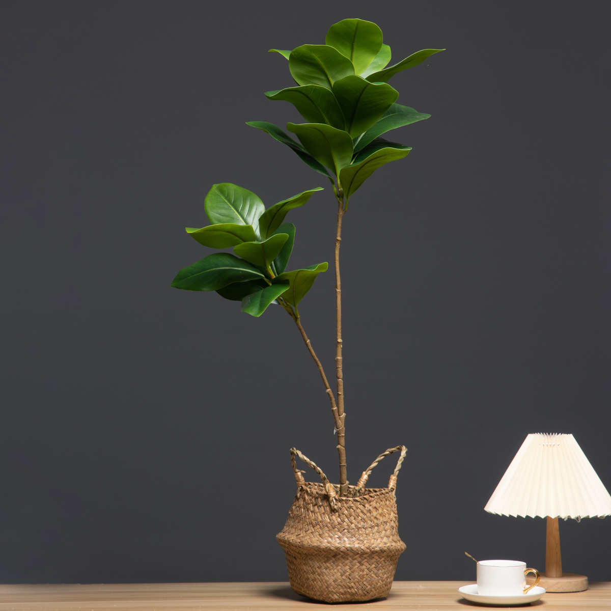 105cm 2 Forks Large Artificial - đánh giá và giá Dracaena Marginata