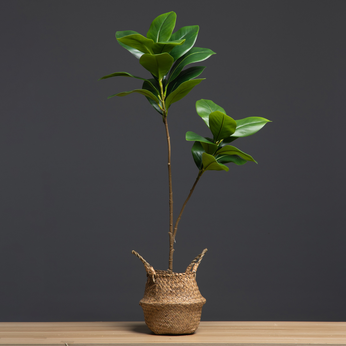 105cm 2 Forks Large Artificial - đánh giá và giá Dracaena Marginata
