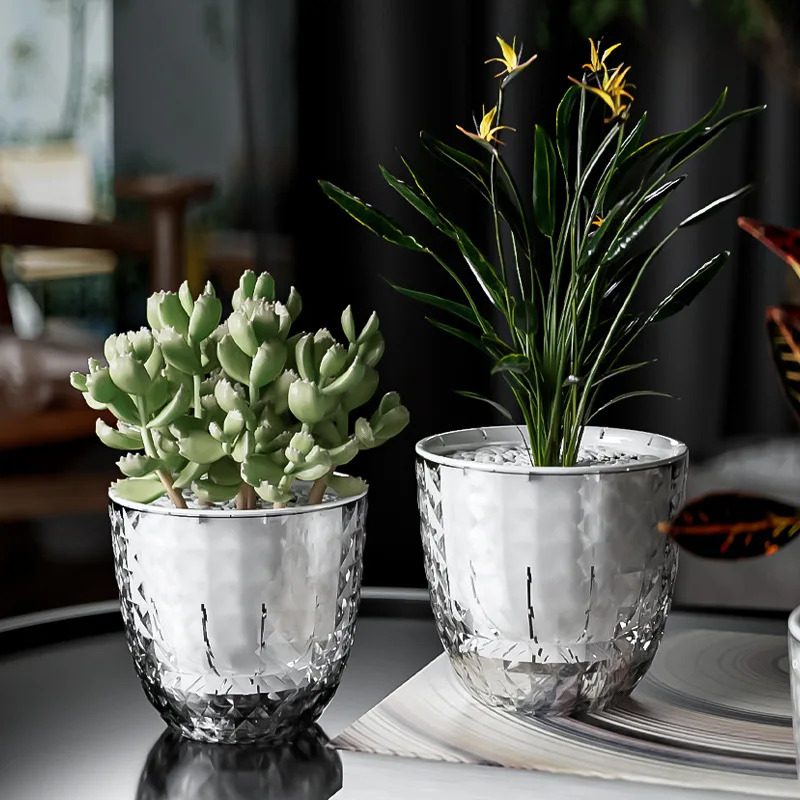 3pcs Transparent Double-Layer  - đánh giá và giá Aloe Vera Pot