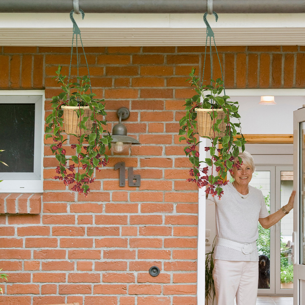 5Pcs Hanging Planter Hooks Ver - đánh giá và giá Spider Plant Hanging