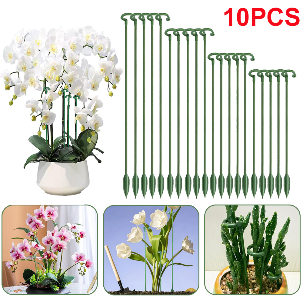 5/10pcs Plant Support Stakes P - đánh giá và giá Echeveria Succulent